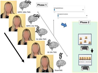 Attraction is altered via modulation of the medial prefrontal cortex without explicit knowledge